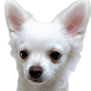 あいす