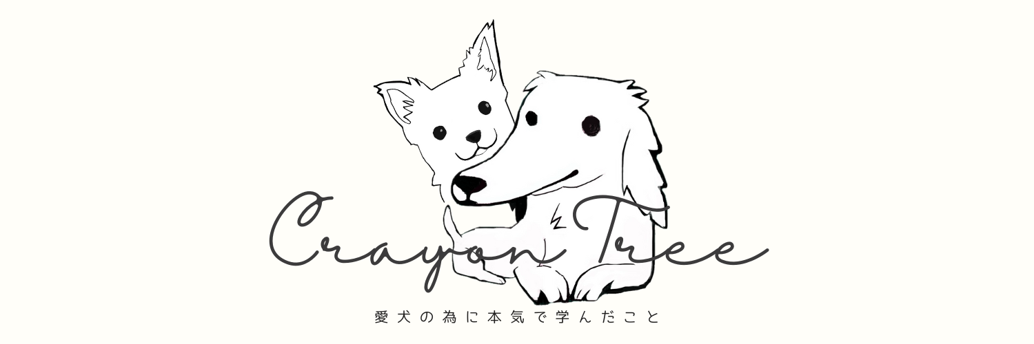 くれよんの木